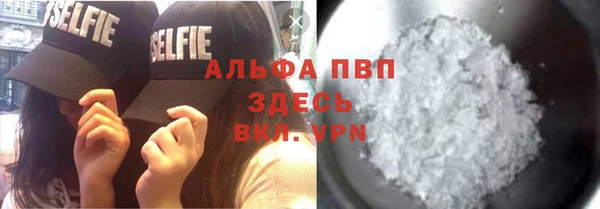 индика Надым